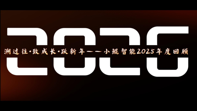 小鲲智能2025年度回顾——溯过往·致成长·跃新年！